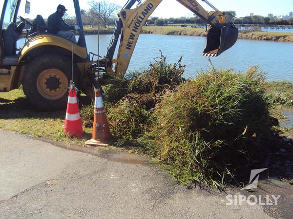 relacionado a imagem