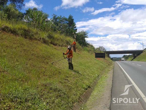 relacionado a imagem